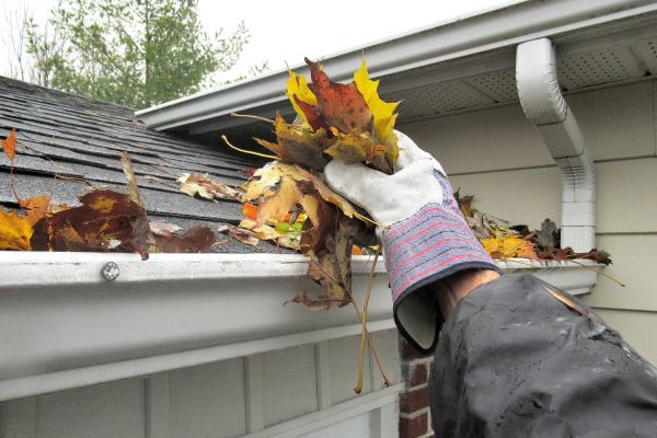 Cost of Eaves Cleaning in Jackson