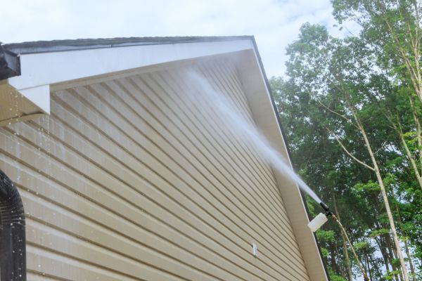 Cost of Siding Cleaning Service in Jackson